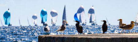 Snim 7 – 10 avril : Plein soleil !