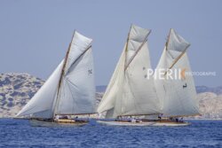 CC2022-1373