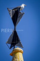SNIM-2022-JOUR-3-388