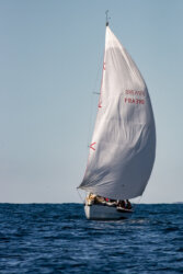 SNIM 2024 STEPHANIE VIGETTA-29