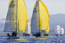 DSC5987