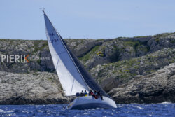 DSC7313