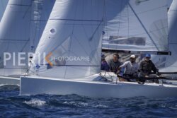 DSC03998