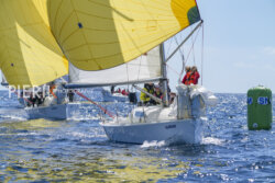 SNIM23 Pierik-08166