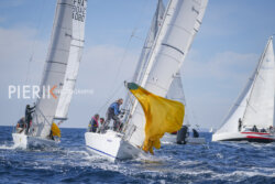 SNIM23 Pierik J3-09295