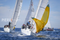 SNIM23 Pierik J3-09296