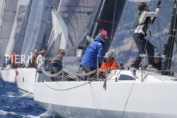 SNIM23 Pierik J3-09393