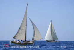 DSC00874