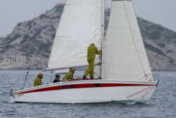 Vire-Vire-BPMED-2024-11