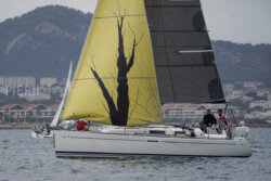 Vire-Vire-BPMED-2024-111