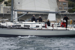 Vire-Vire-BPMED-2024-112