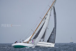 Vire-Vire-BPMED-2024-115