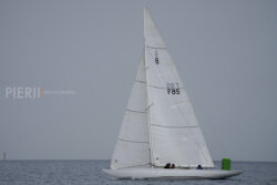 Vire-Vire-BPMED-2024-12