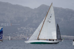 Vire-Vire-BPMED-2024-120