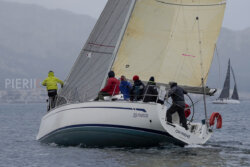 Vire-Vire-BPMED-2024-137