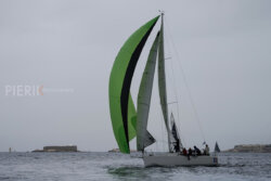 Vire-Vire-BPMED-2024-148