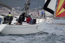 Vire-Vire-BPMED-2024-161