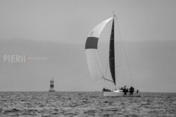 Vire-Vire-BPMED-2024-163