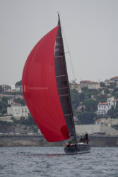 Vire-Vire-BPMED-2024-166