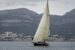 Vire-Vire-BPMED-2024-17