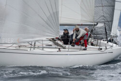 Vire-Vire-BPMED-2024-172
