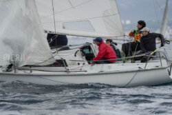 Vire-Vire-BPMED-2024-176