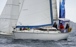 Vire-Vire-BPMED-2024-183