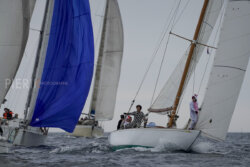 Vire-Vire-BPMED-2024-184