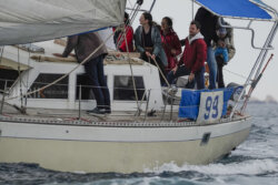 Vire-Vire-BPMED-2024-192