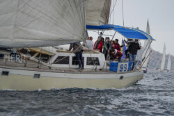 Vire-Vire-BPMED-2024-193