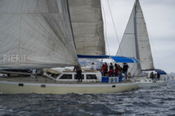 Vire-Vire-BPMED-2024-194