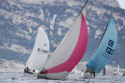 Vire-Vire-BPMED-2024-198