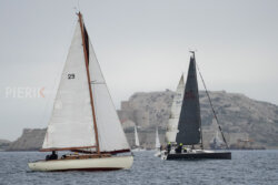 Vire-Vire-BPMED-2024-21