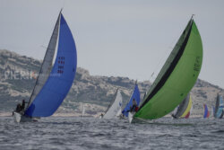 Vire-Vire-BPMED-2024-211