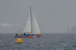 Vire-Vire-BPMED-2024-22