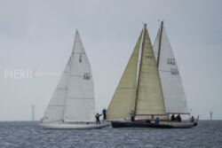 Vire-Vire-BPMED-2024-24