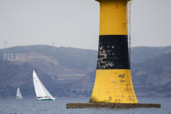 Vire-Vire-BPMED-2024-244
