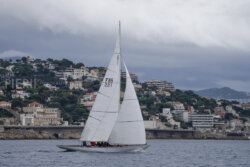 Vire-Vire-BPMED-2024-253
