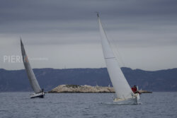 Vire-Vire-BPMED-2024-287
