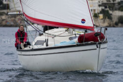 Vire-Vire-BPMED-2024-42