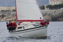 Vire-Vire-BPMED-2024-425