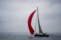 Vire-Vire-BPMED-2024-436