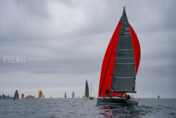 Vire-Vire-BPMED-2024-439