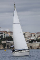 Vire-Vire-BPMED-2024-448