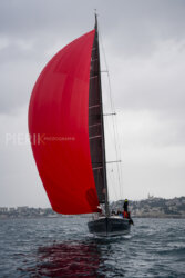 Vire-Vire-BPMED-2024-449