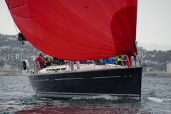 Vire-Vire-BPMED-2024-453