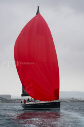 Vire-Vire-BPMED-2024-455