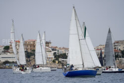 Vire-Vire-BPMED-2024-54