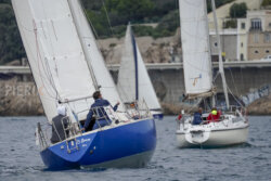Vire-Vire-BPMED-2024-56