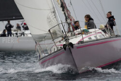 Vire-Vire-BPMED-2024-67
